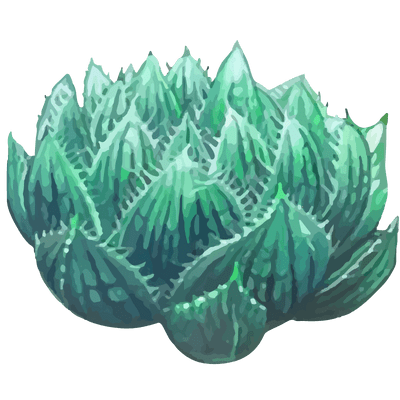 succulent icon 1