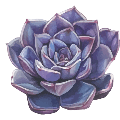 succulent icon 3